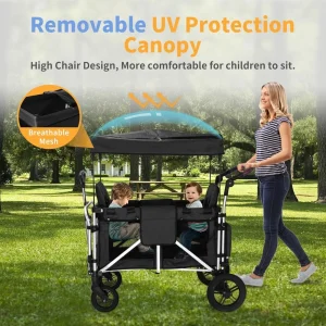 Double Stroller Wagon